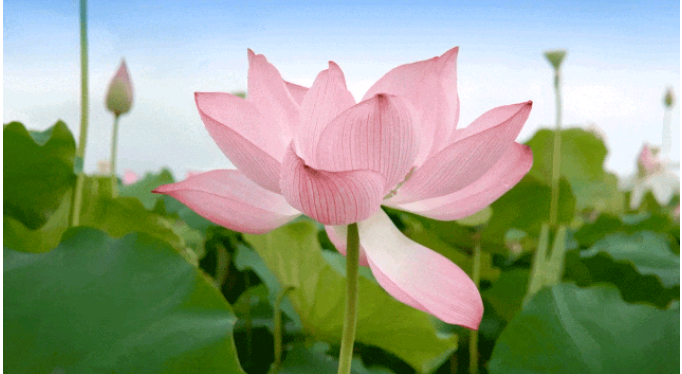 微信截图_20230812170039.png