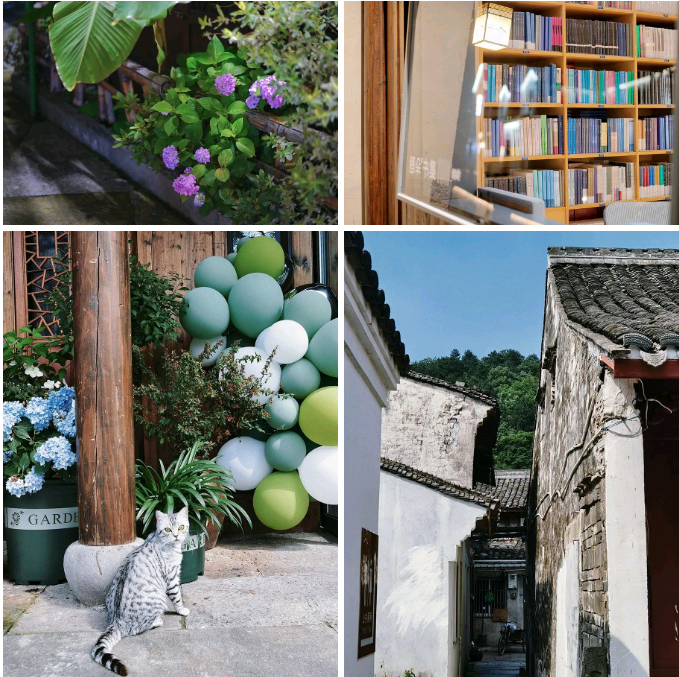 微信截图_20230812170057.png